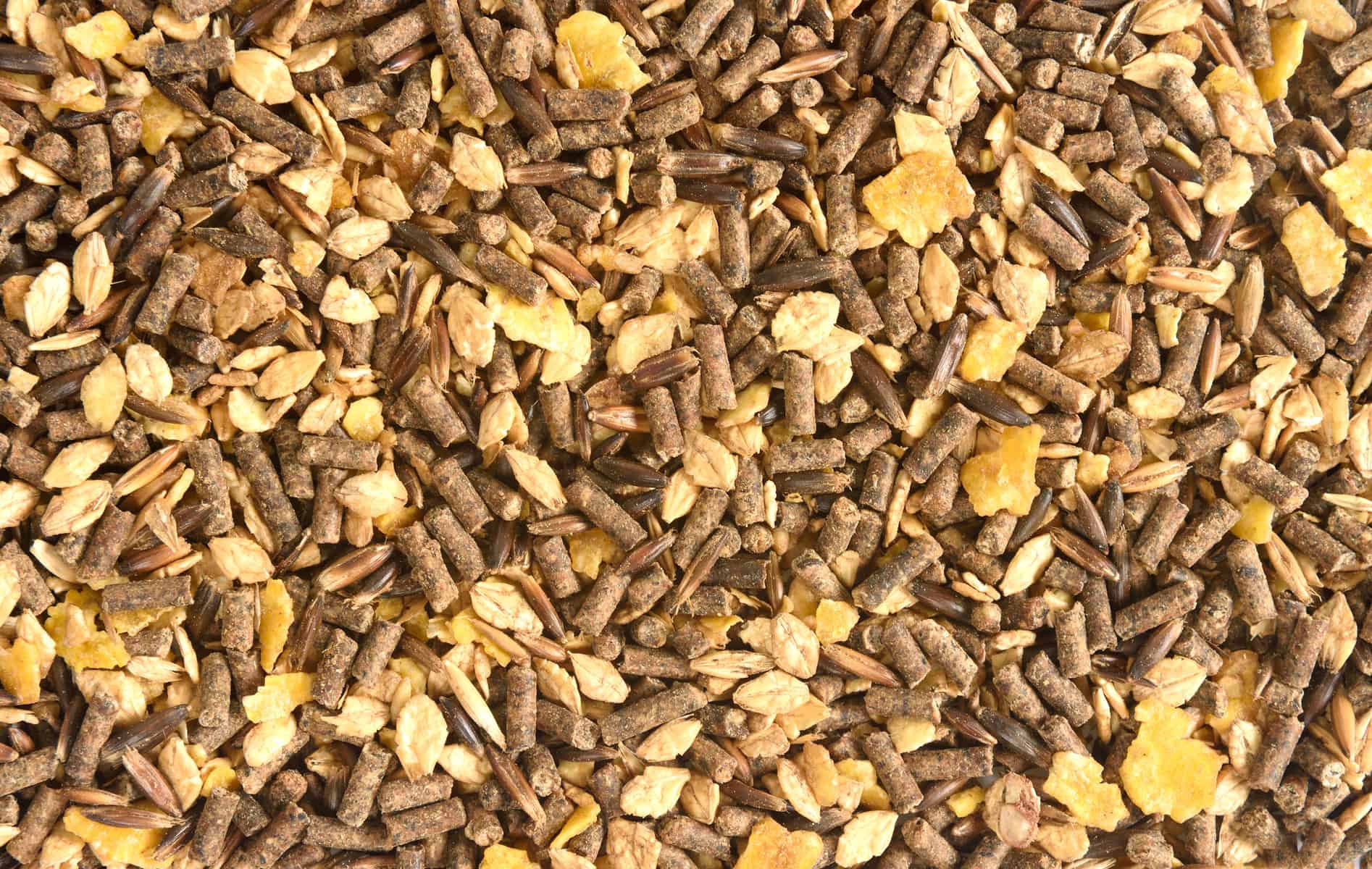 Grain for the day!