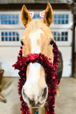 Doc with his Valentine boa