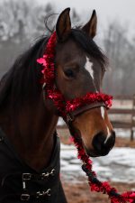 Emmie wearing a Valentine boa