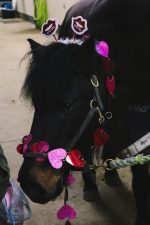 G-Whiz with his Valentines headband